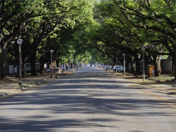 Tree-lined street in Potchefstroom